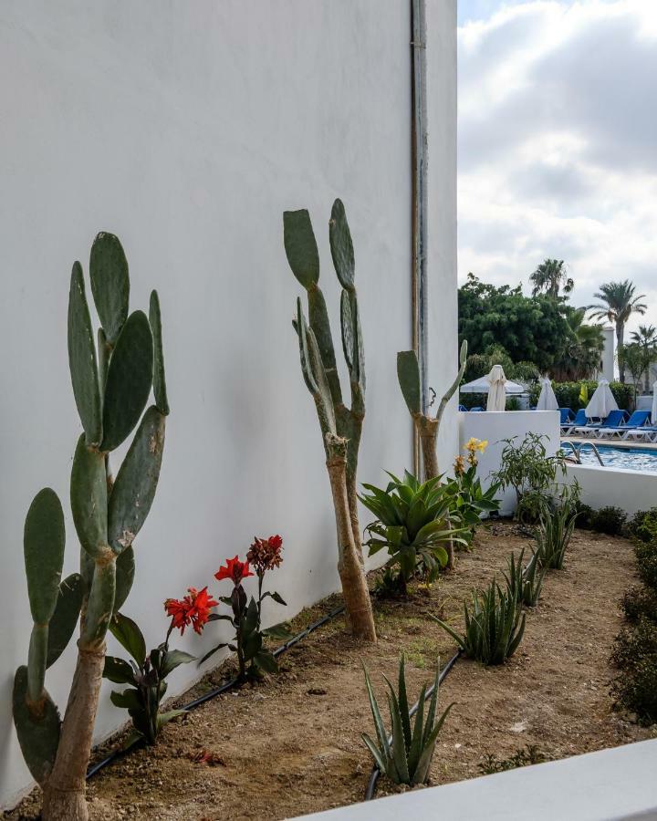 Pandream Hotel Apartments Paphos Bagian luar foto